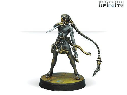 Avicenna, Mercenary Doctor